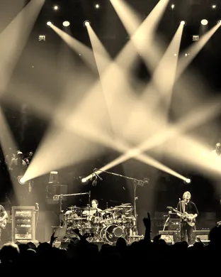Phish