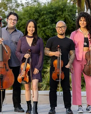 Vitamin String Quartet